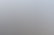 ccewlgserphoto11-4-16821g821fdsc1665t4fmr.jpg