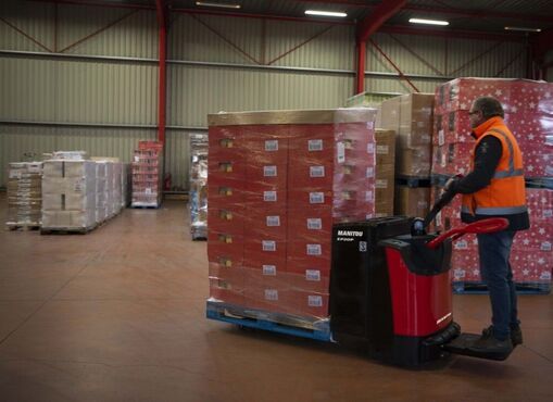 Manitou EP 20 P